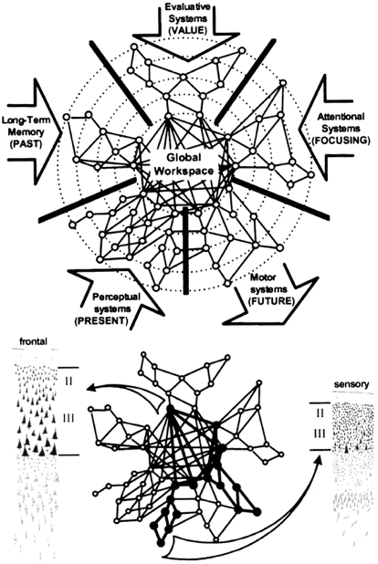 see legend. The top figure is a series of dotted concentric circles with a network of lines and nodes imposed on top; the innermost circle is labeled 'Global Workspace'. The circles are divided into five sectors [except the sector radii don't cross the innermost circle]; each sector has a labels in an arrow pointing in [unless otherwise noted] clockwise from the top as, 'Evaluative Systems (VALUE)', 'Attentional Systems (FOCUSING)', 'Motor systems (FUTURE)' [the only one with an arrow pointing out], 'Perceptual systems (PRESENT)', 'Long-Term Memory (PAST)'. The bottom figure is the same network of lines and nodes (minus circles, arrows, and labels but with on the left a picture labeled 'frontal' and on the right a picture labeled 'sensory'. 