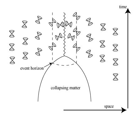 the light cones at events surrounding a collapsing body forming a black hole