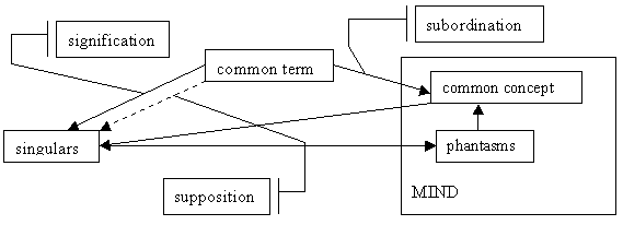 shows the simplified version of Figure 4, what we get as a result of the nominalist reductions. It consists of three main boxes, labeled 'common term' on the top, 'singulars' on the lower left, and 'mind' on the lower right. The 'mind' box contains two sub-boxes, labeled 'phantasms' and 'common concepts', with an arrow pointing from the former to the latter, indicating the flow of information, as does the arrow pointing from the box 'singulars' to the box 'phantasms'. The rest of the arrows indicate semantic relations: the full arrow pointing from the box 'common term' to 'singulars' is labeled 'signification', the dashed arrow is labeled 'supposition'. The full arrow pointing from 'common term' to 'common concept' is labeled 'subordination'. Finally, the unlabeled full arrow pointing from 'common concept' to 'singulars' represents natural signification or signification, as is clear from the text.