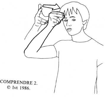 COMPRENDRE (UNDERSTAND): thumb and first two fingers apart then touch tips as they touch the forehead